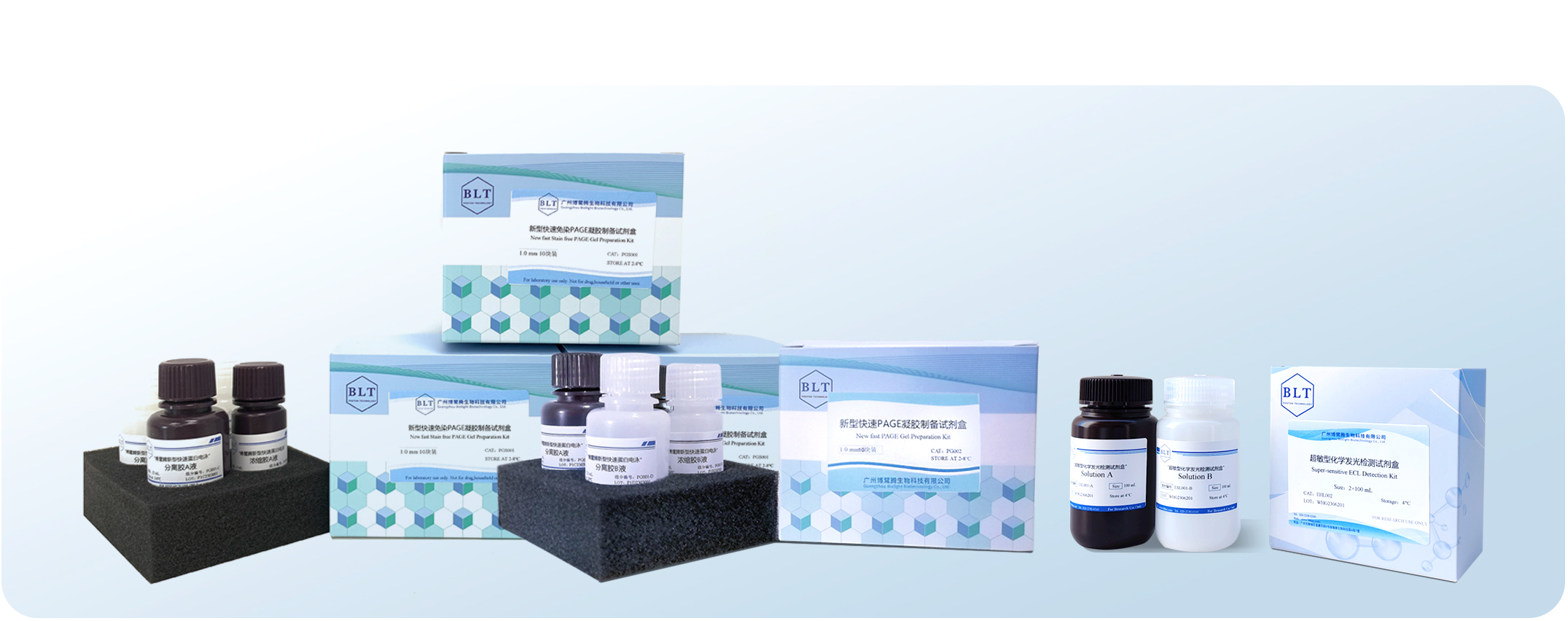 【邀请函】2024慕尼黑上海分析生化展