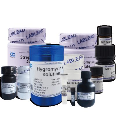 15000bp Plus DNA Marker