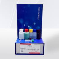  血液基因组DNA小量提取试剂盒(0.1-1ML) 