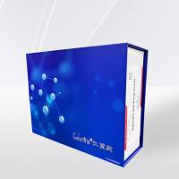  HiPURE高纯度质粒小提试剂盒 