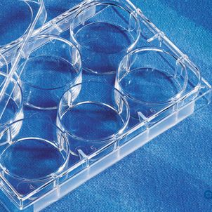 Cathepsin-K组织蛋白酶活性检测试剂盒