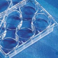 Cathepsin-K组织蛋白酶活性检测试剂盒