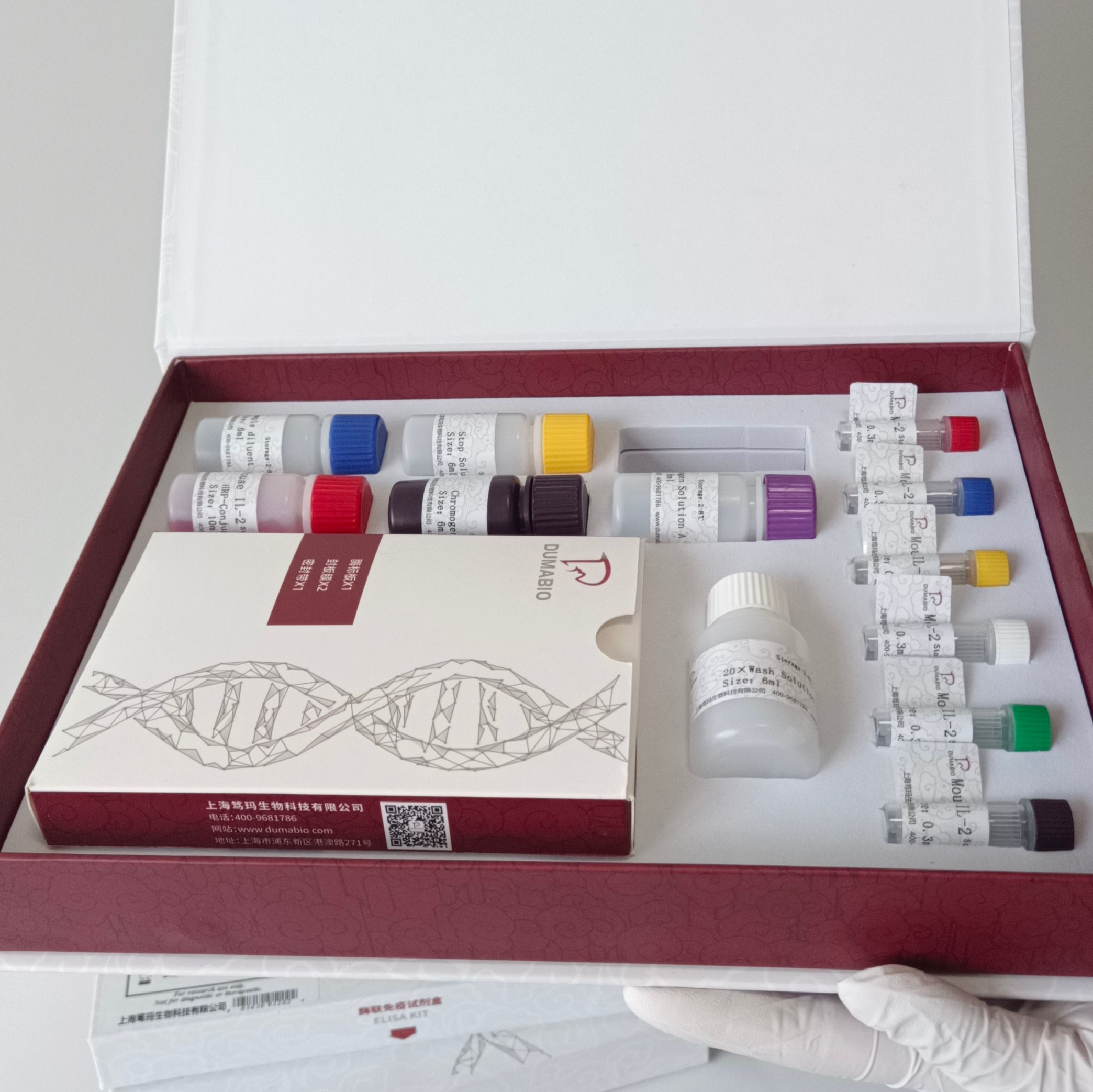 Influenza Virus A甲型流感（禽流感）病毒H5N6亚型RT-PCR试剂盒