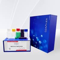  磁珠法DNA产物纯化试剂盒 