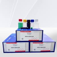 病毒RNA提取试剂盒