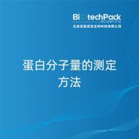 蛋白分子量的测定方法-百泰派克生物科技