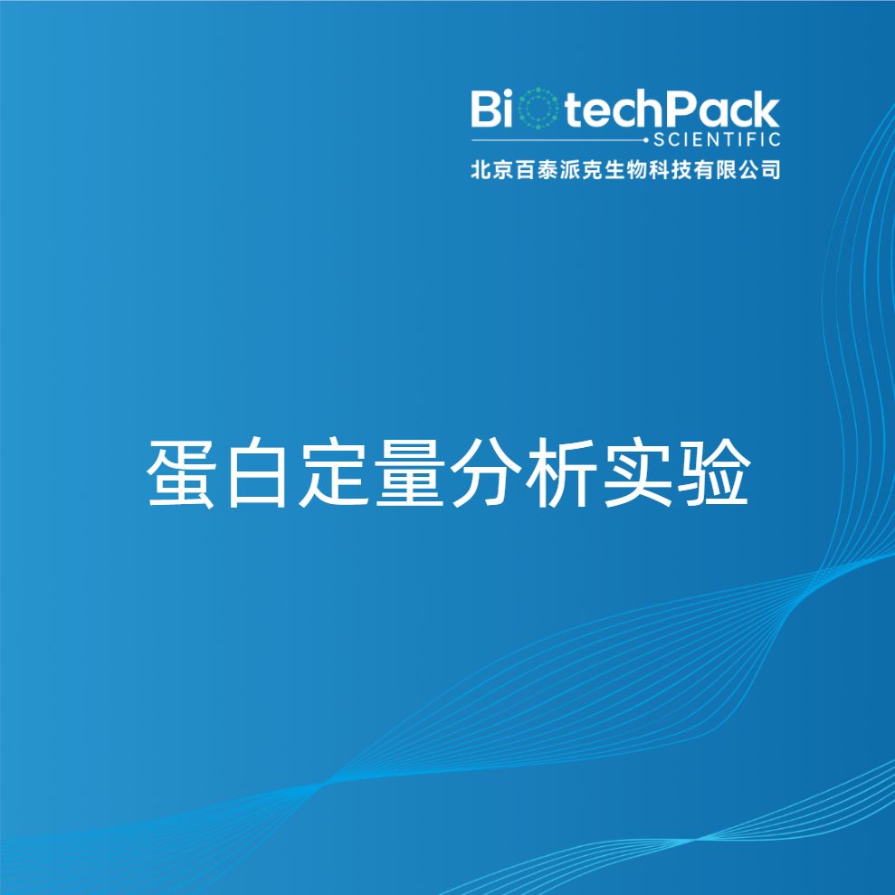 蛋白定量分析实验-百泰派克生物科技产品图