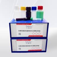  石蜡包埋组织基因组DNA提取试剂盒 