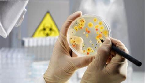 微生物培养基种类区分一览