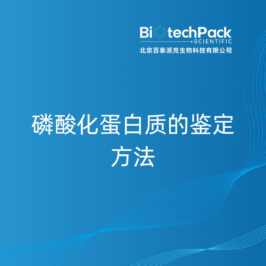 磷酸化蛋白质的鉴定方法-百泰派克生物科技