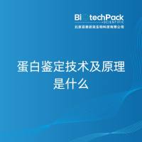 蛋白鉴定技术及原理是什么