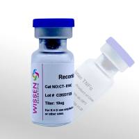 Wissen 重组人肿瘤坏死因子-α(GMP级) TNF-α CT-814C 10ug