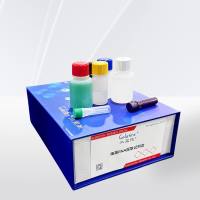 细菌RNA提取试剂盒 