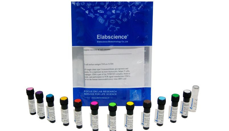 10月Elabscience流式上新紫光激发荧光，多彩实验新选择