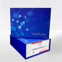  干血斑基因组DNA提取试剂盒(0.1-1ML)