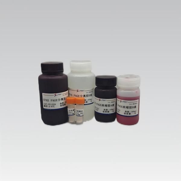 10% CFAS PAGE快速凝胶制备试剂盒