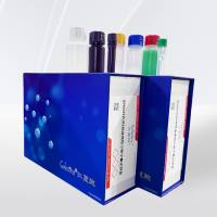  SPEEDYPURE快速质粒小提中量试剂盒 