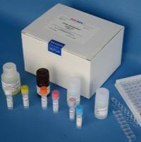 豚鼠血清淀粉样蛋白A(SAA)ELISA试剂盒