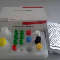 大鼠10kDa干扰素γ诱导蛋白(IP10)ELISA试剂盒