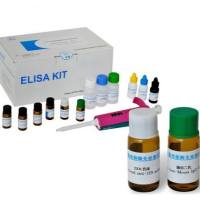 大鼠11-β-羟基类固醇脱氢酶1(HSD11β1)ELISA试剂盒