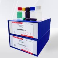  免提取核酸释放剂 