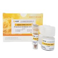 细菌通用型rRNA去除试剂盒 -V2