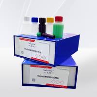  RNA高灵敏度测定试剂盒 