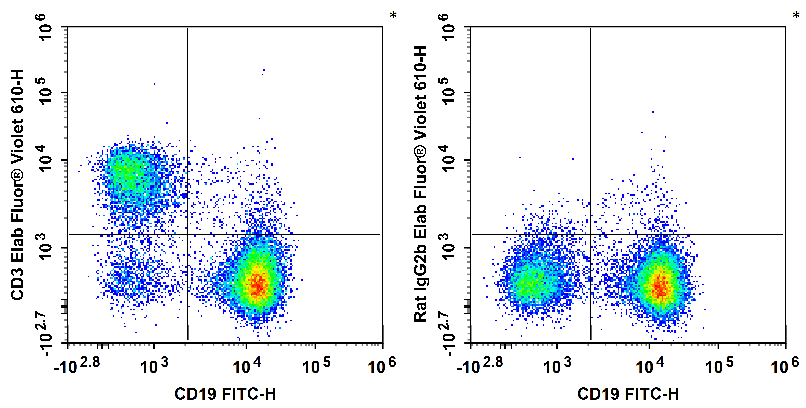 Elab Fluor®Violet610 Anti-Mous