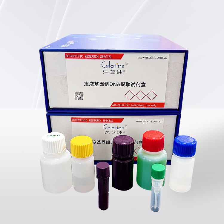 痰液基因组DNA提取试剂盒