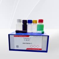  DNA Marker II 