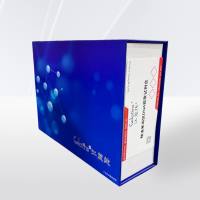  精液基因组DNA提取试剂盒 