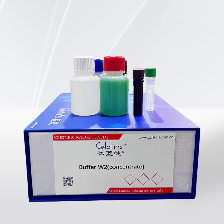 Buffer W2(concentrate)