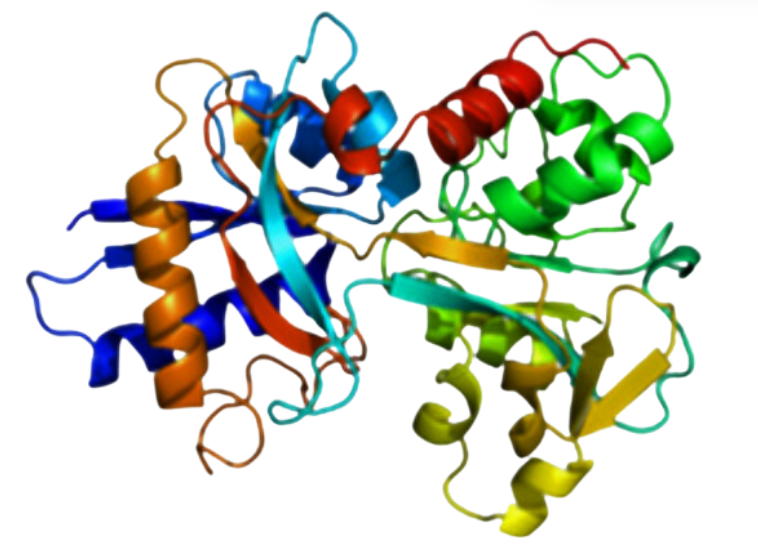 免耗材、高灵敏、低浓度蛋白质定量神器，大幅降低蛋白质检测限