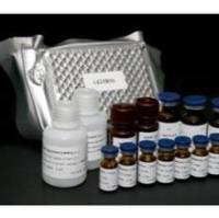 豚鼠2，3-二磷酸甘油酸(2，3-DPG)ELISA试剂盒