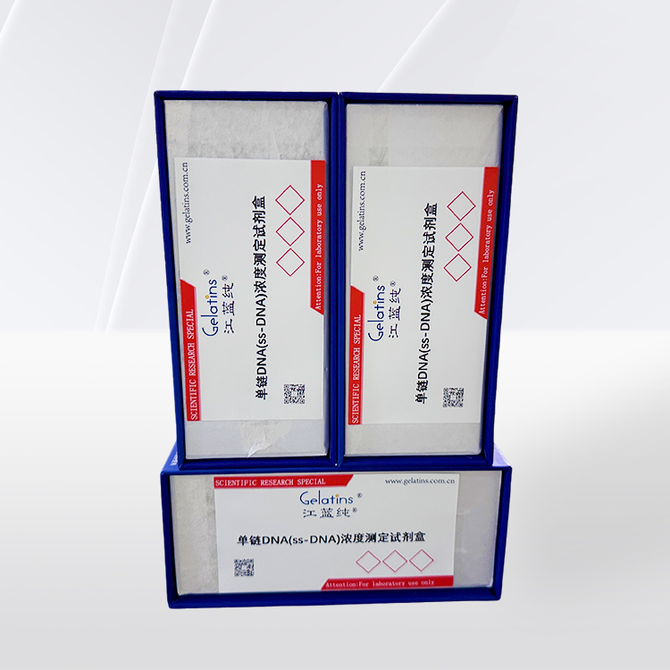 单链DNA(ss-DNA)浓度测定试剂盒