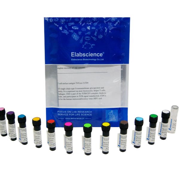 Elab Fluor®Violet610 Anti-Mouse/Human CD11b Antibody[M1/70]