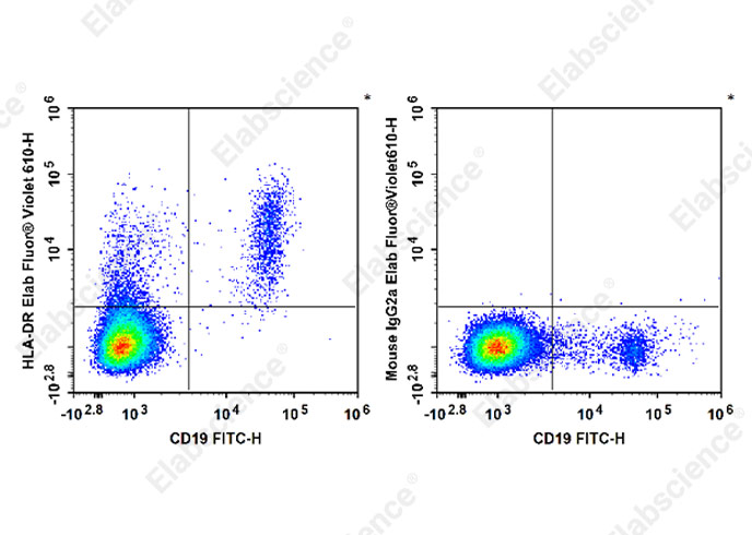 Elab Fluor®Violet610 Anti-Huma