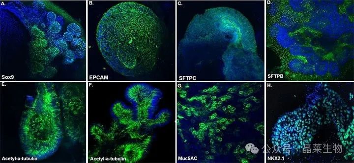 1729588904987874.jpg 640_wx_fmt=jpeg&from=appmsg (2).jpg