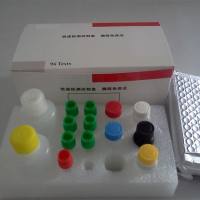 大鼠 2 型次黄嘌呤核苷酸脱氢酶(IMPDH)(IMPDH2)ELISA试剂盒