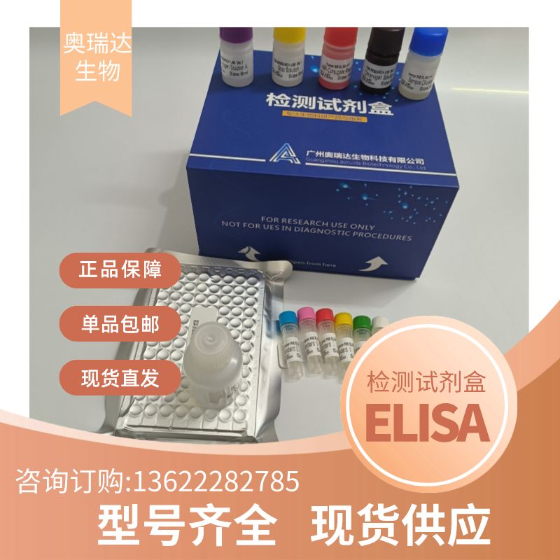 小鼠睾酮（T）ELISA检测试剂盒