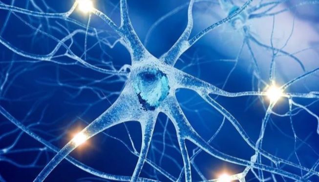 细胞传代的原理与步骤你了解多少呢？