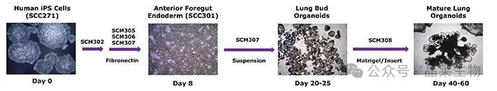 1729588808244851.jpg 640_wx_fmt=jpeg&from=appmsg.jpg