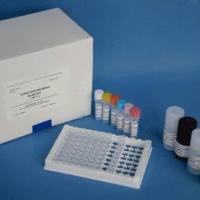 大鼠27kDa热休克蛋白(HSPB1)ELISA试剂盒