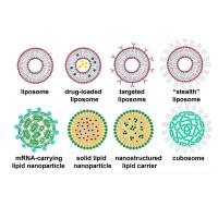 核苷酸-脂质衍生物修饰负载紫衫烷类似物(TAX)的脂质体