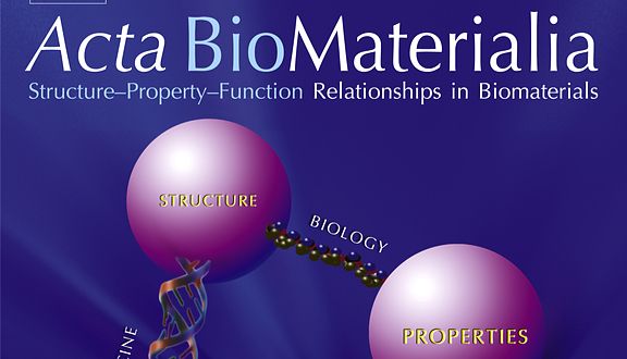 Mouse IL-4、GM-CSF诱导BMDCs文献解读（内含细胞因子文献奖励申请通道）