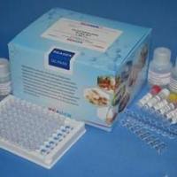 大鼠210kDa核孔蛋白(NUP210)ELISA试剂盒