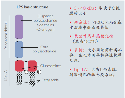 生物试剂内毒素如何检测？