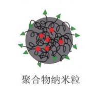 甘露糖修饰负载芬戈莫德（FTY）的PLGA-PEG纳米粒