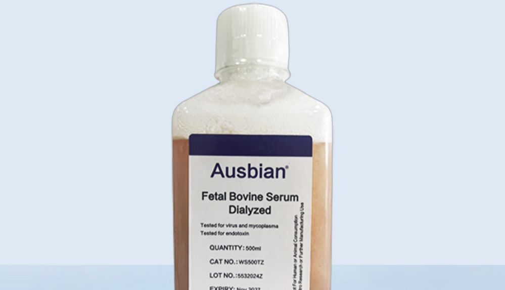 选择优质胎牛血清的三个要点