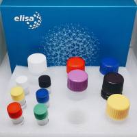 17酮皮质类固醇(17-KS)ELISA试剂盒